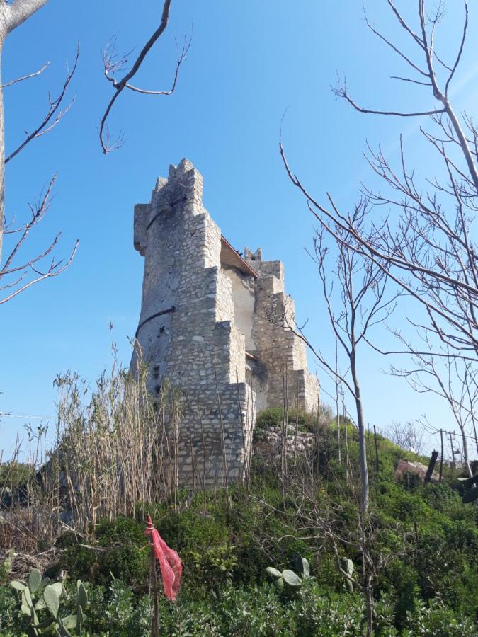 فوتشي فارانو Torre Del Lago المظهر الخارجي الصورة